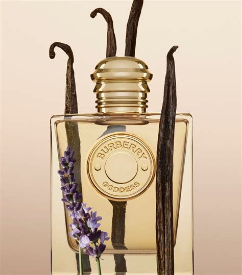 burberry godess eau de parfum|where to buy Burberry goddess.